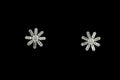 Floral Stud Earrings