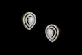 Celeste Drop Stud Earrings