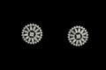 Radiant Bloom Stud Earrings