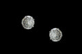 Stellar Spark Stud Earrings